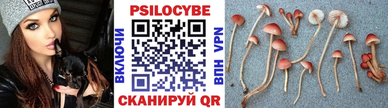 Псилоцибиновые грибы мухоморы  Духовщина 